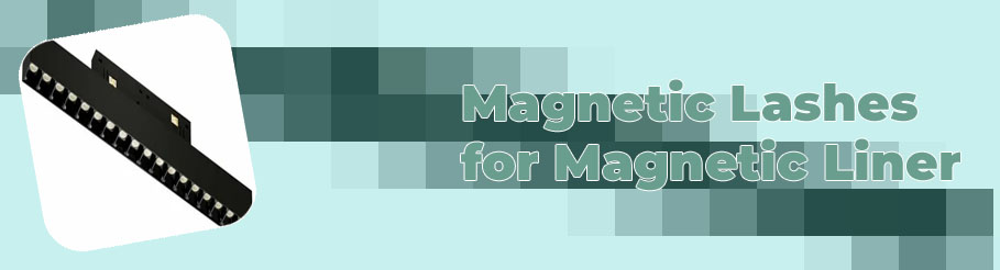 Magnetic liner