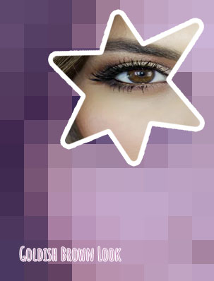 Natural brown makeup look