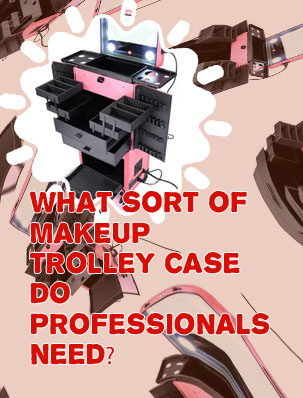 Professional rolling makeup case